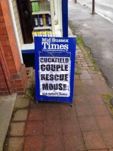 mouse