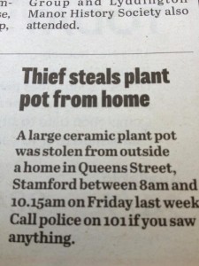 plant