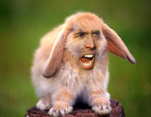 nic-cage-lkasndlansd